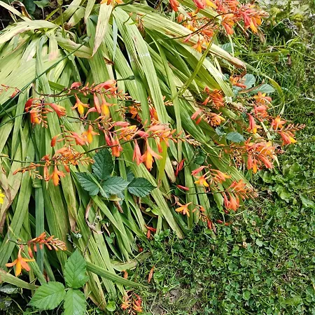 B&B Rose Garden 바이외