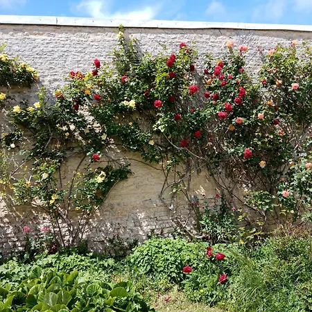 Bed & Breakfast Rose Garden