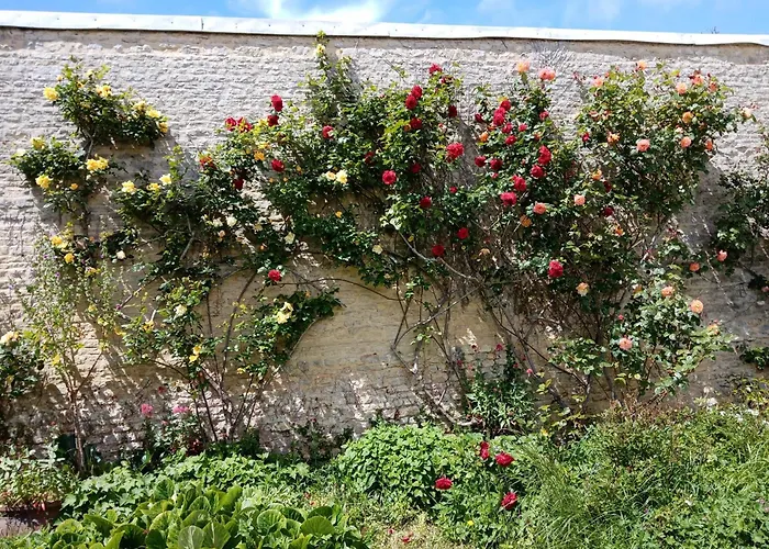 Bed & Breakfast Rose Garden