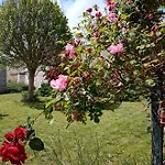 Rose Garden Bed and Breakfast 3*