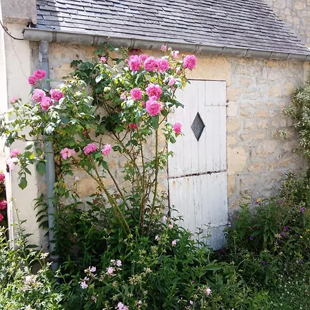 Rose Garden * Bayeux