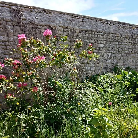 Bed & Breakfast Rose Garden *