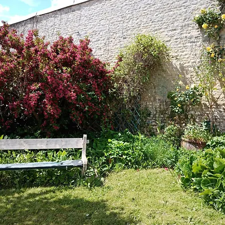 Rose Garden * Bayeux
