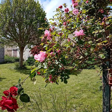 Rose Garden Bed & Breakfast *