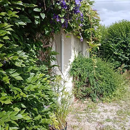 Bed & Breakfast Rose Garden