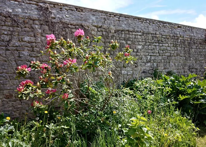 לינה וארוחת בוקר Rose Garden 3*