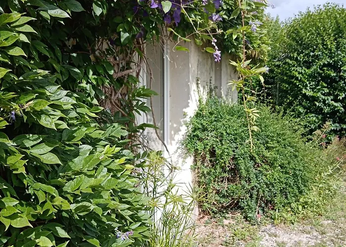 לינה וארוחת בוקר Rose Garden